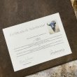 certificado toro