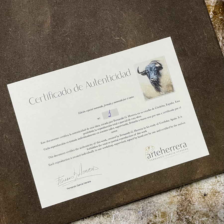 certificado toro certificado toro