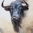 cuadro toro bravo herrera