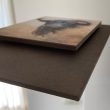 toro bravo cuadro deco herrera tabla