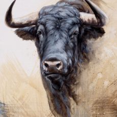 Tabla toro bravo