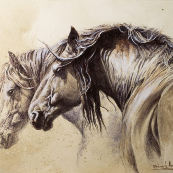 tutorial pareja caballos herrera