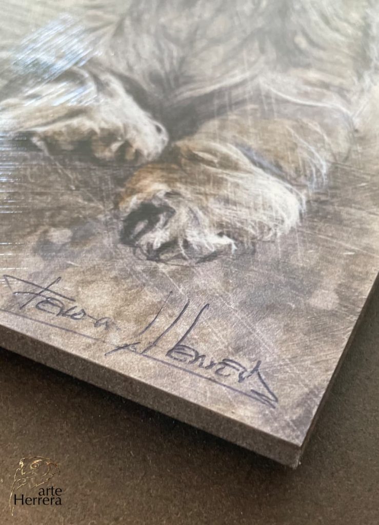 cuadro teckel comprar arteherrera