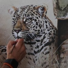 Obra leopardo Trust