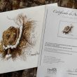 torero dibujo herrera certificado