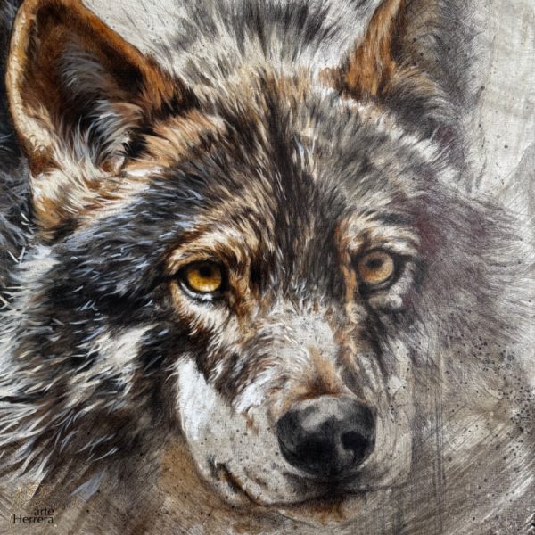 cuadro lobo al oleo herrera
