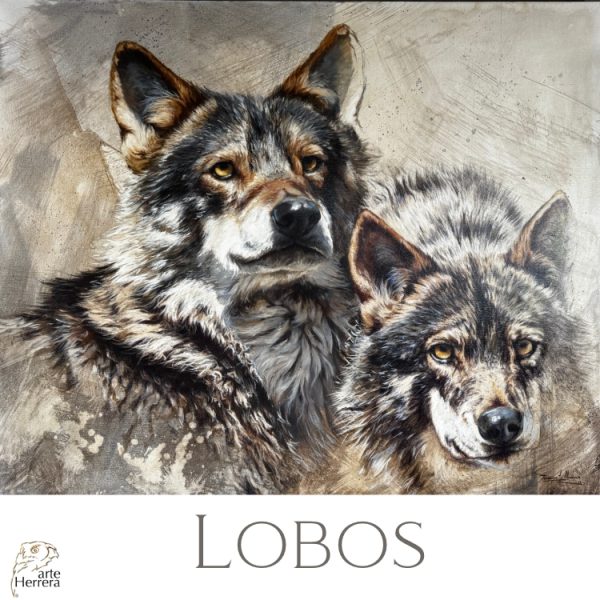 cuadro lobo al oleo herrera wolf lobos