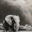 grabado elefante herrera