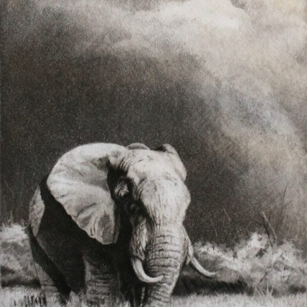 grabado elefante herrera