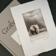 grabado elefante herrera carpeta