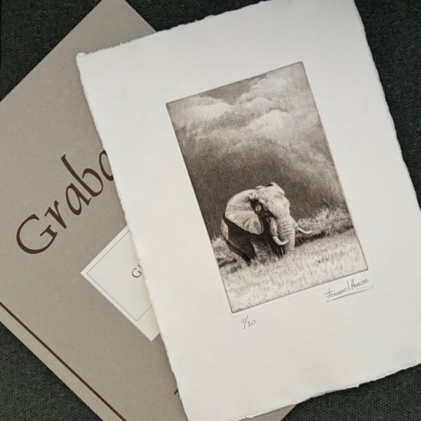 grabado elefante herrera carpeta