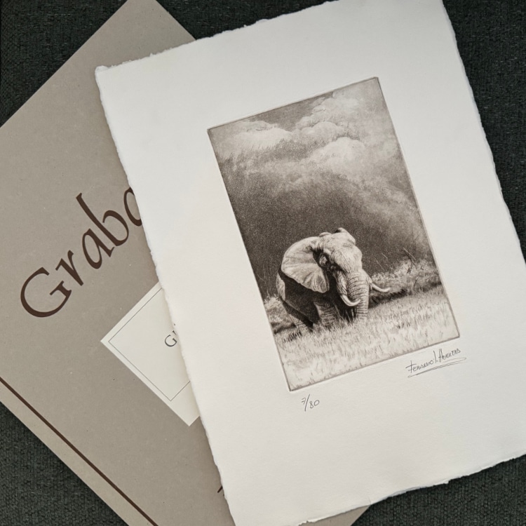 grabado elefante herrera carpeta grabado elefante herrera carpeta