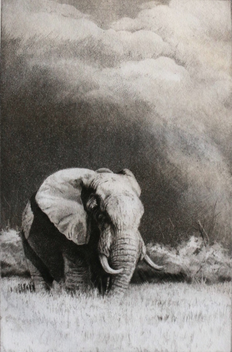 grabado elefante herrera grabado elefante herrera