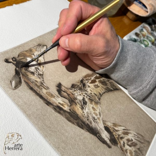 grabado jirafas coloreado exclusivo herrera arteherrera 3