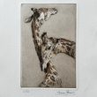grabado jirafas exclusivo herrera arteherrera