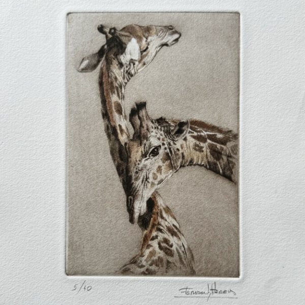 grabado jirafas exclusivo herrera arteherrera