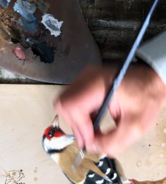 pintar cuadro jilguero al oleo comprar herrera