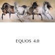 cuadro caballos comprar salvajes equos herrera