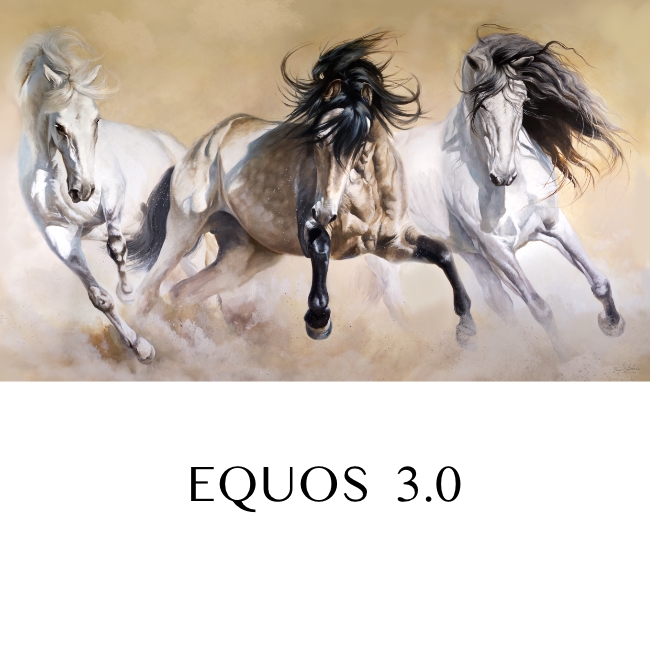 cuadro caballos salvajes equos herrera