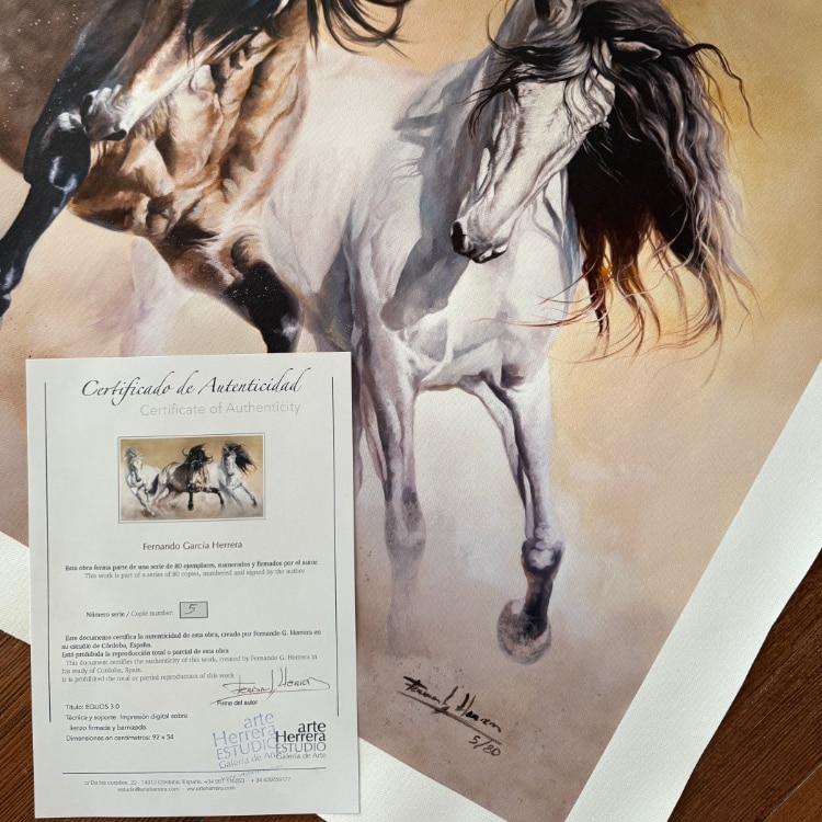 cuadro lienzo caballos comprar grande equos herrera