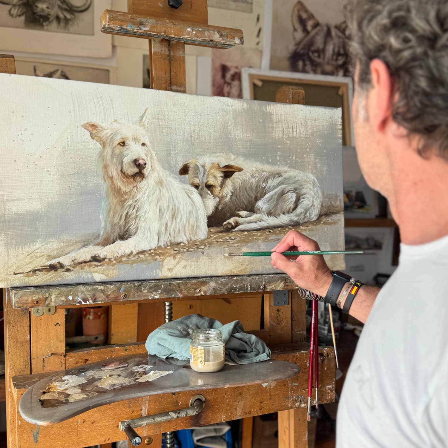 pintando cuado podencos caza herrera