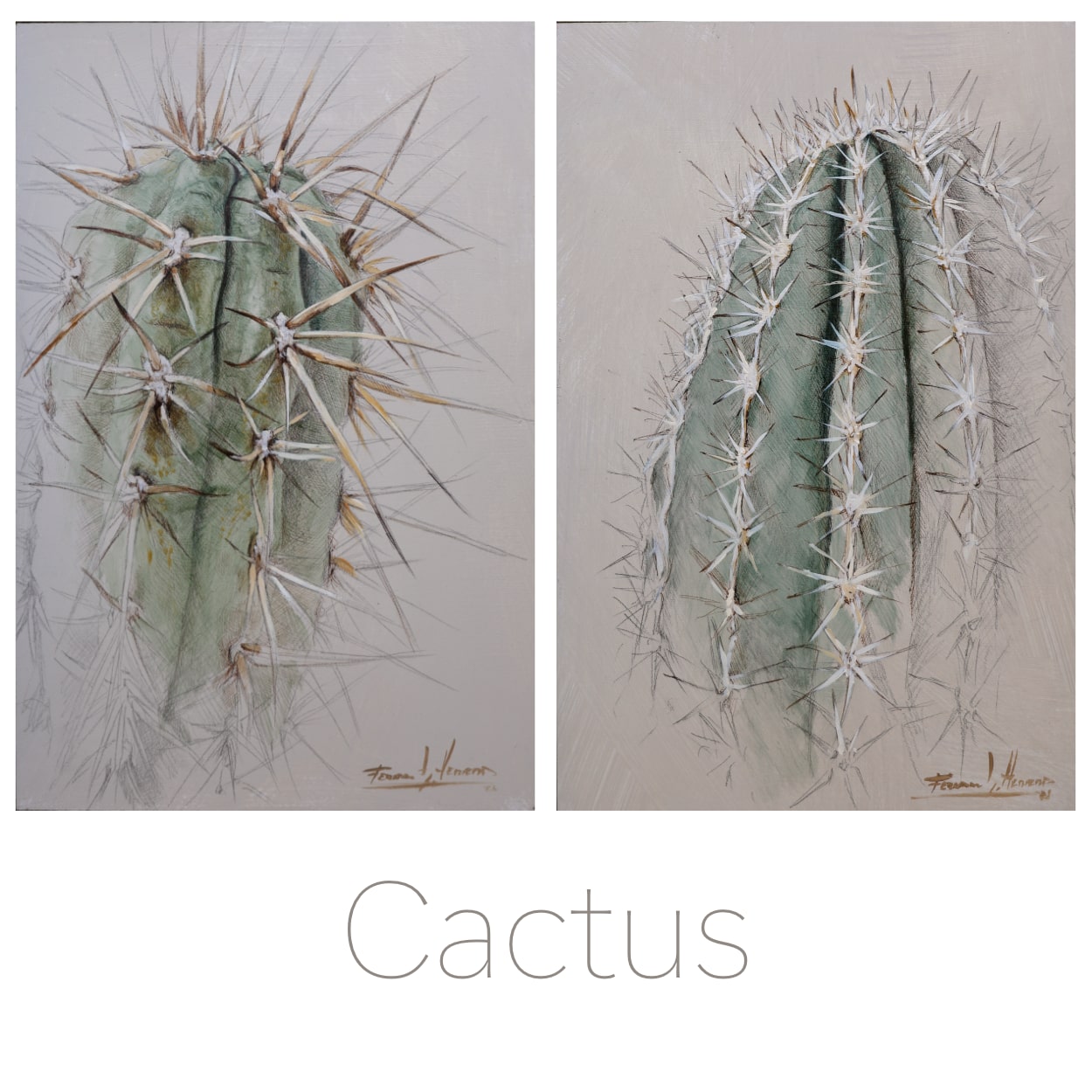 cuadro de cactus decoracion pintado herrera 1