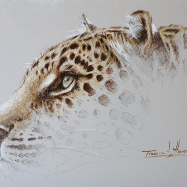leopardo oleo herrera
