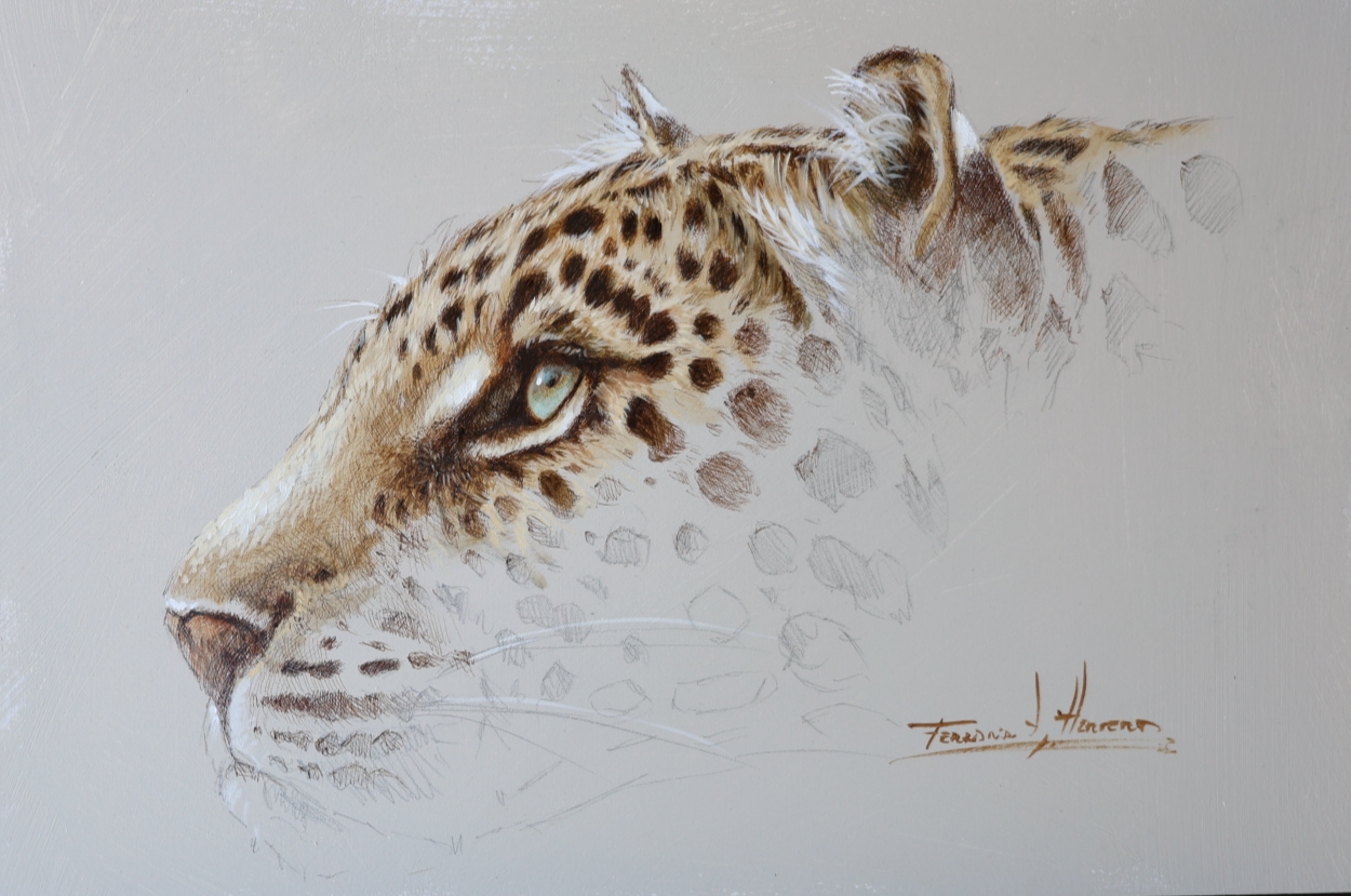 leopardo oleo herrera