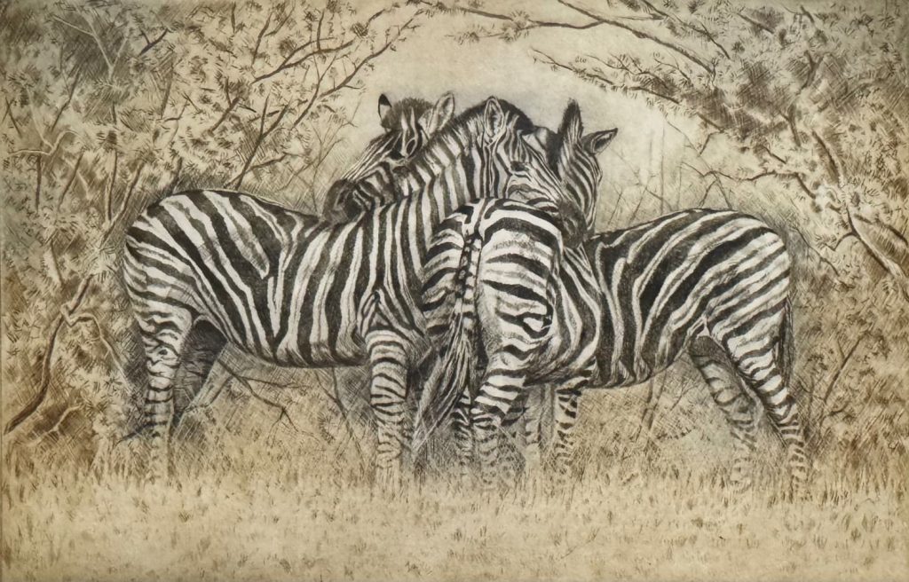 grabado cebras áfrica deco herrera