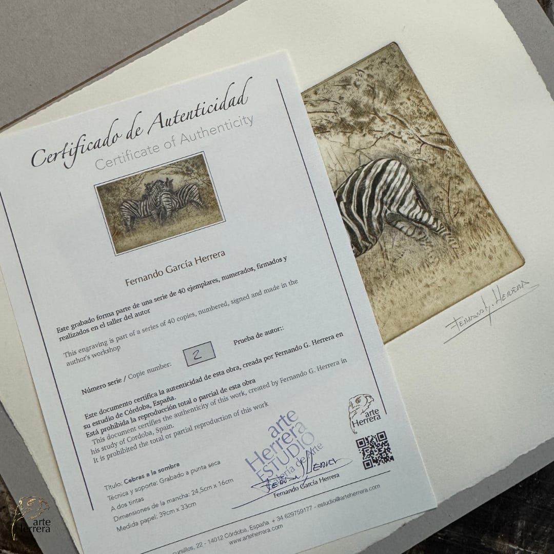 grabado cebras áfrica deco herrera 2