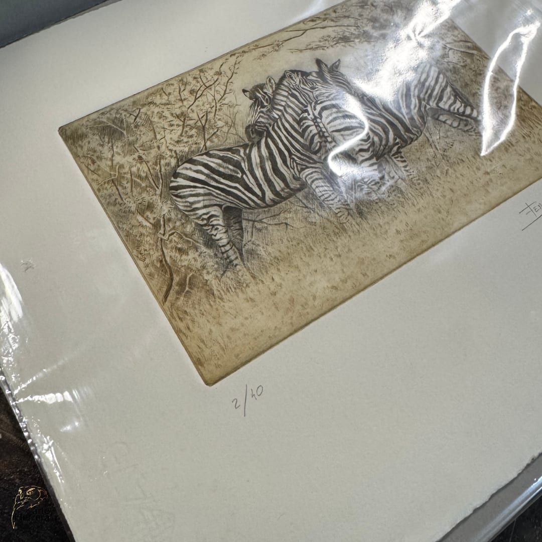 grabado cebras áfrica deco herrera 4