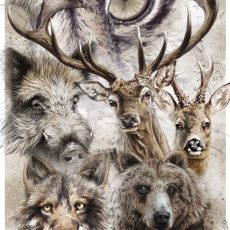 Lámina fauna Ibérica