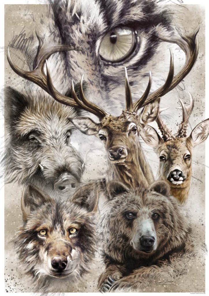 lamina poster fauna caza jabali corzo venado herrera