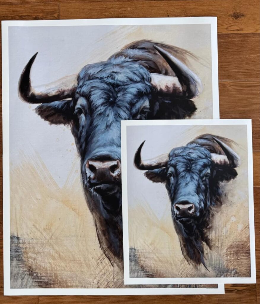 lamina toro bravo herrera