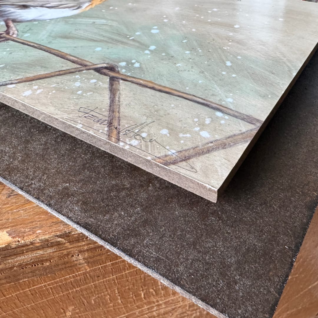 cuadro petirrojo bird robin cuadro bonito herrera