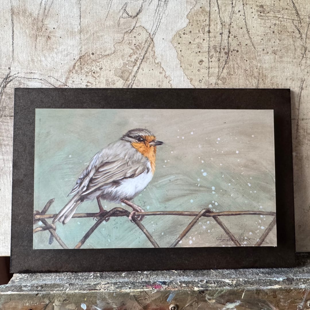 petirrojo bird robin cuadro bonito herrera