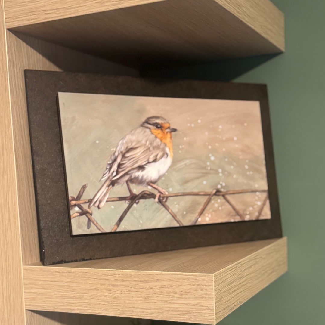 petirrojo robin cuadro bonito herrera