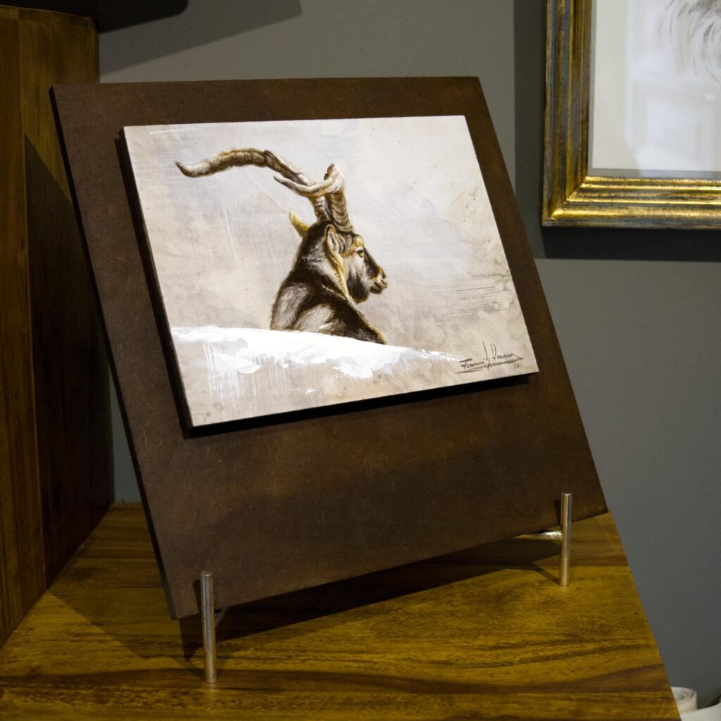 cuadro macho montes cabra herrera caza gredos rececho ibex