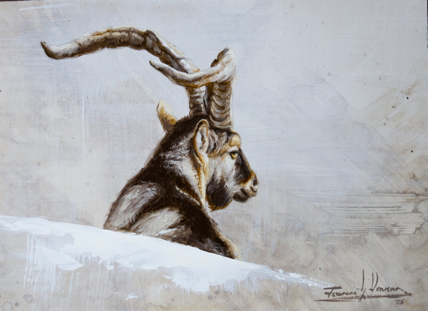 cuadro macho montes cabra hispanica herrera caza gredos rececho ibex