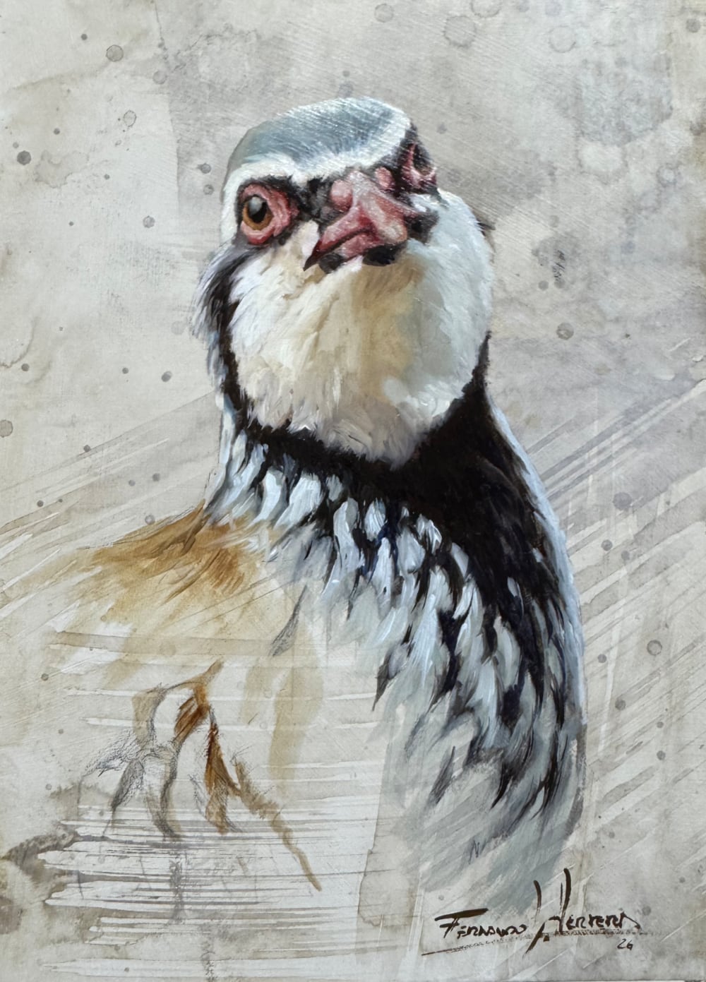 cuadro perdiz roja oleo herrera exclusivo