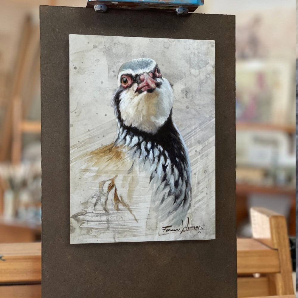 cuadro perdiz roja oleo herrera