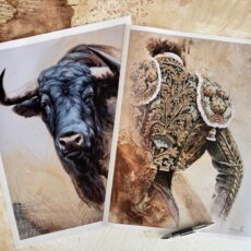 Lámina PAREJA TAURINA