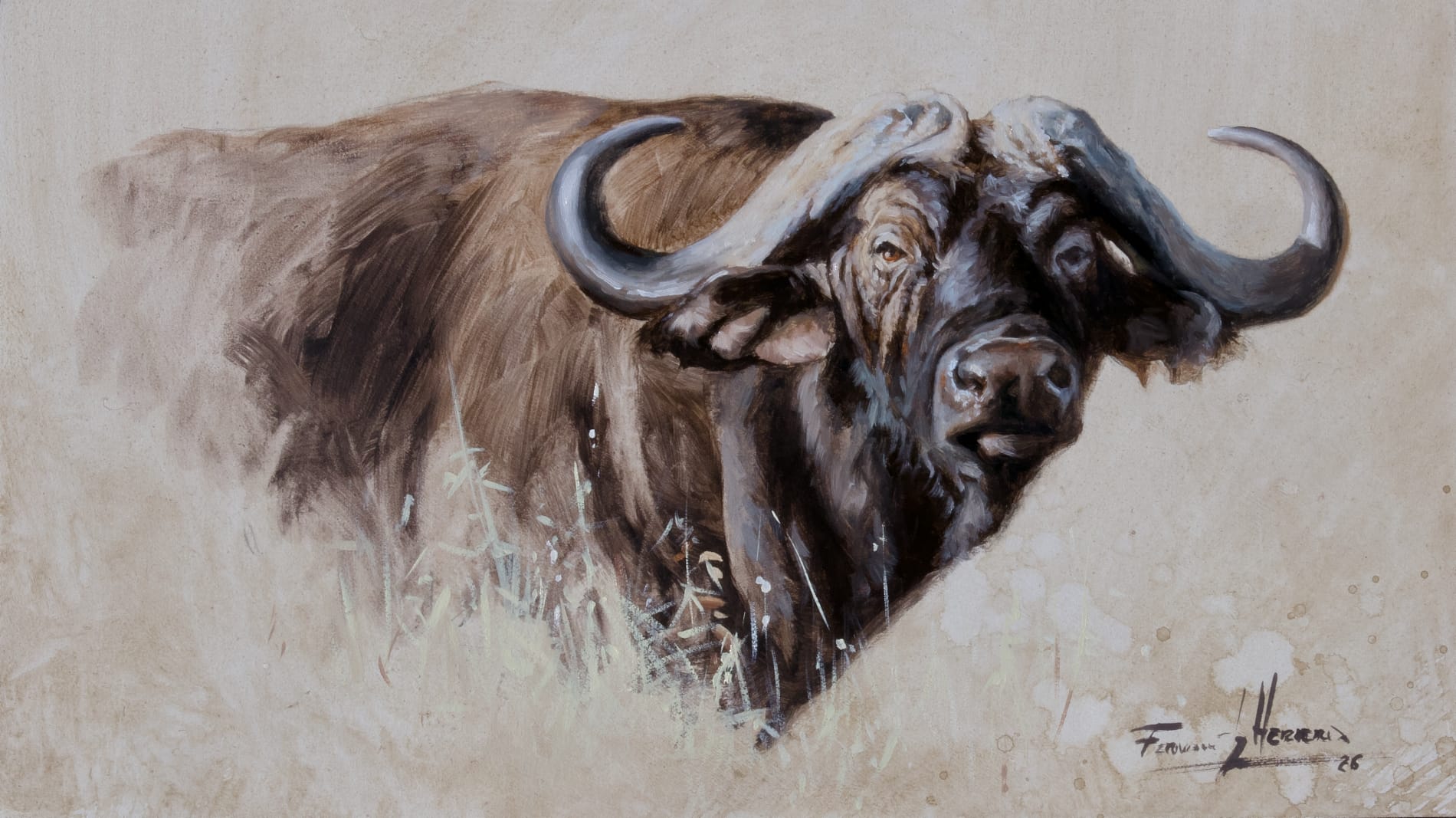 ocuadro bufalo africa safari caza herrera