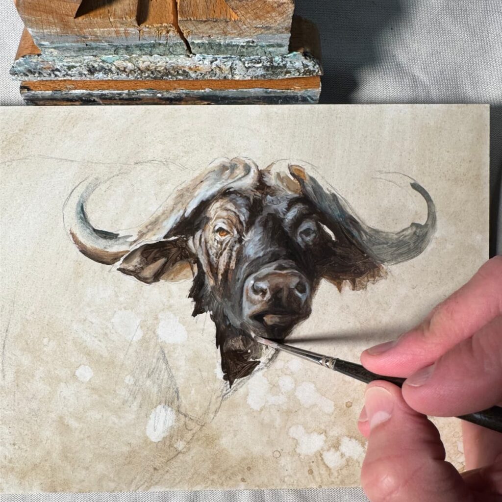 pintando cuadro bufalo africa safari caza herrera