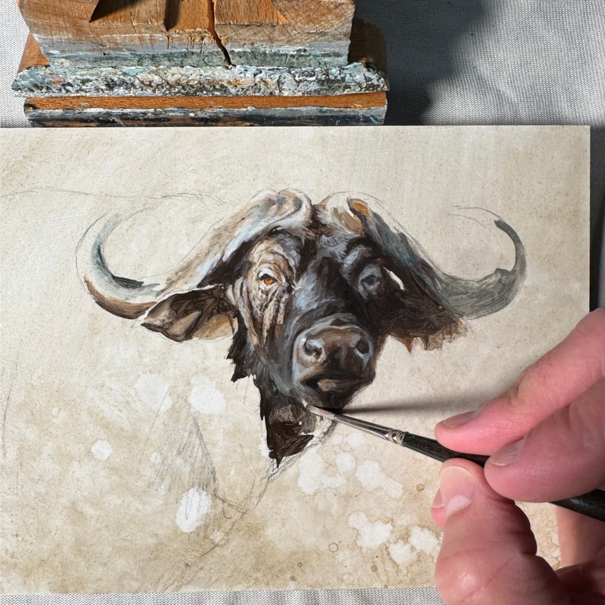 pintando cuadro bufalo africa safari caza herrera