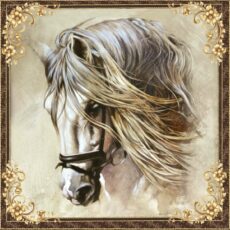 Pañuelo 70 x 70 Caballo