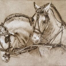 Grabado enganche caballos